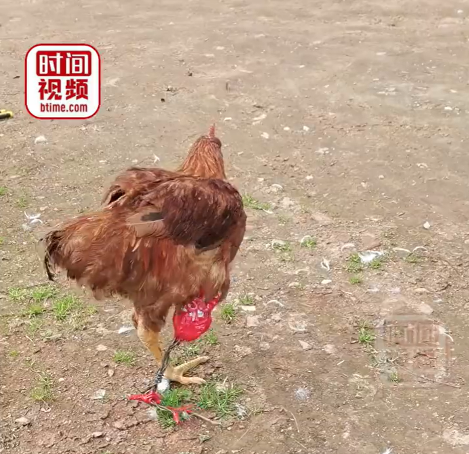 微信图片_20221103221643.png