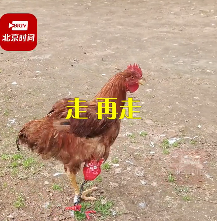 微信图片_20221103221636.png
