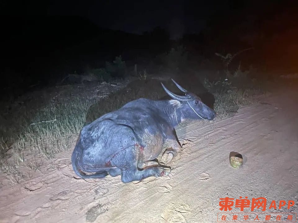 微信图片_20221106225731.jpg