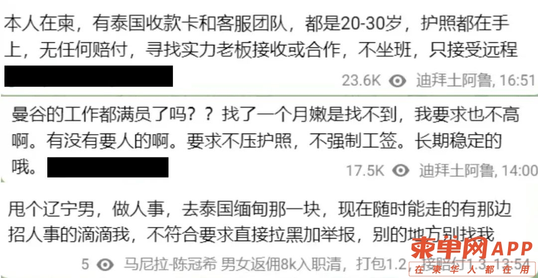 qw38.jpg