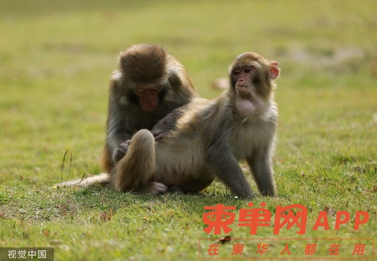 微信图片_20221118093017.jpg