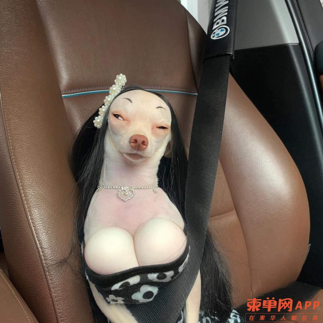 20221118152649front1_0_197031_FnhHbek6aPXUe7nDYMe9W0HZQmkM.jpg