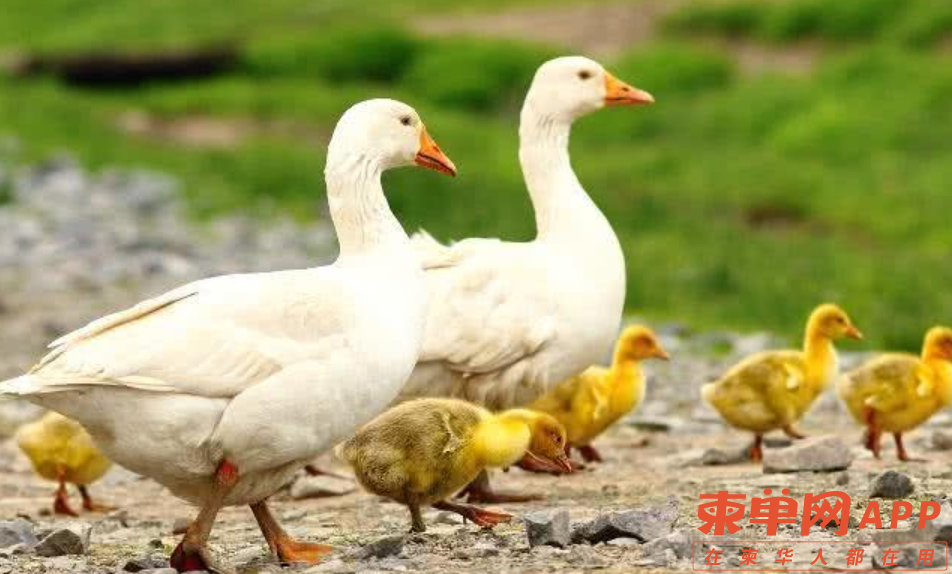 微信截图_20221121101127.png