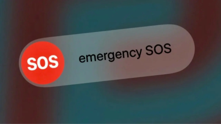 qw4.jpg