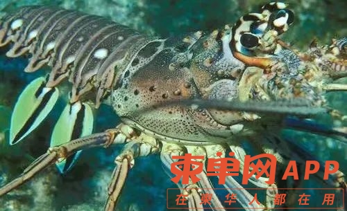 微信图片_20221126101901.jpg
