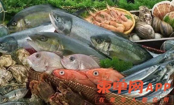 微信图片_20221126101906.jpg