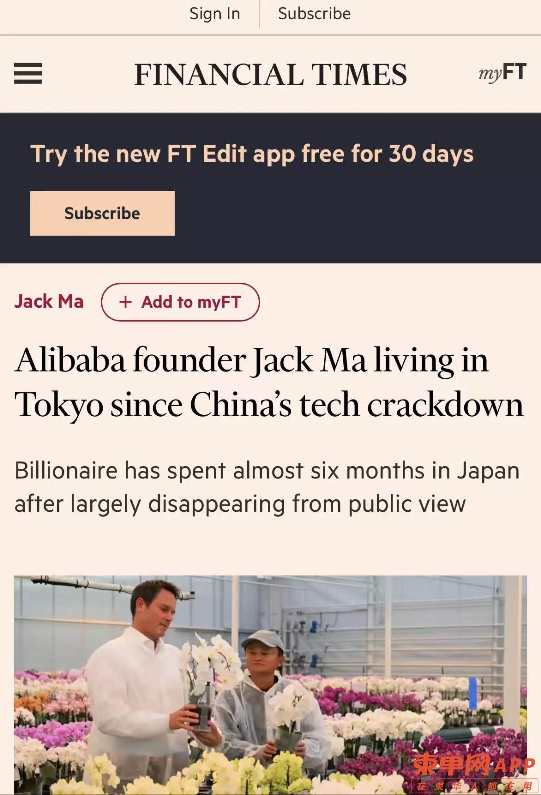 qw3.jpg
