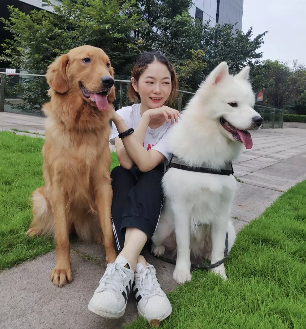 微信图片_20221203222629.png