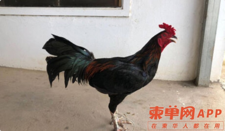 微信图片_20221206135548.jpg