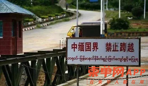 qw5.jpg
