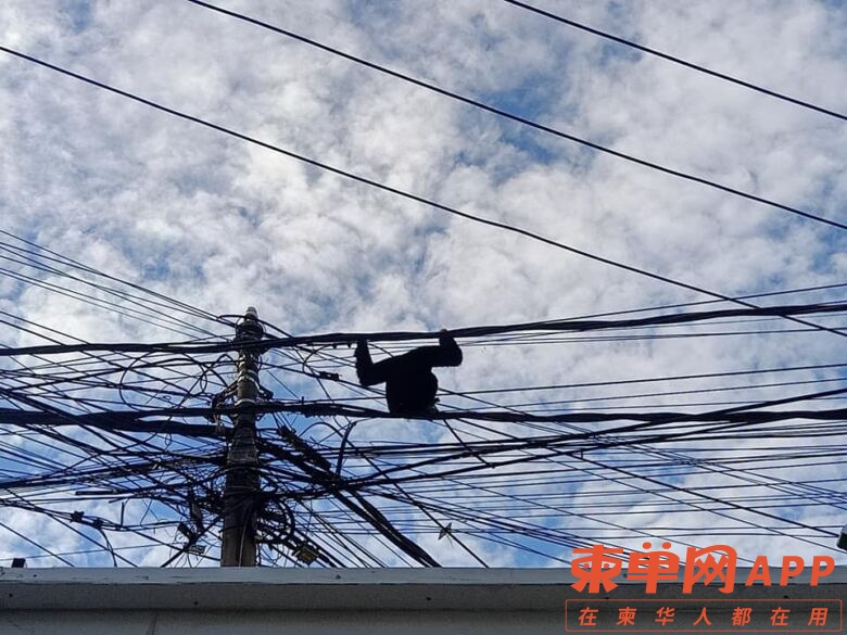 微信图片_20221208113910.jpg