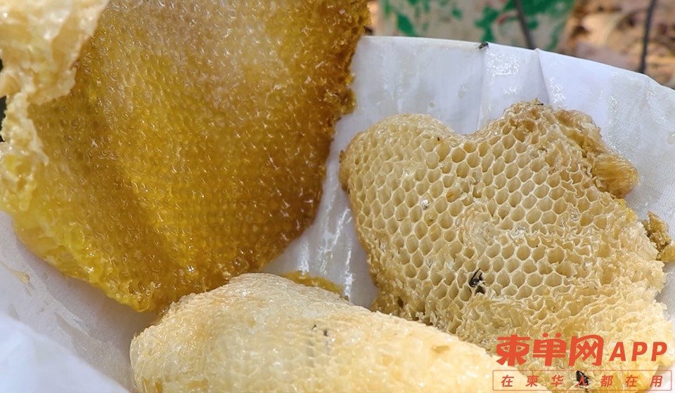 微信图片_20221210105701.jpg