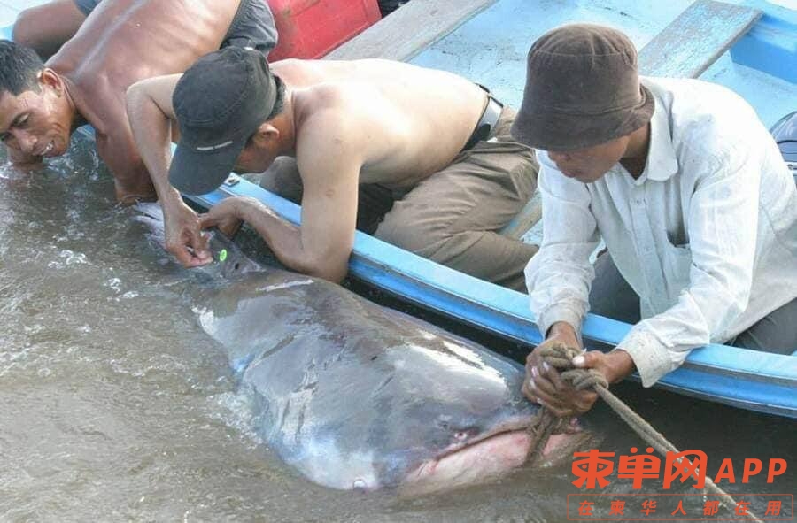 微信图片_20221212131943.jpg