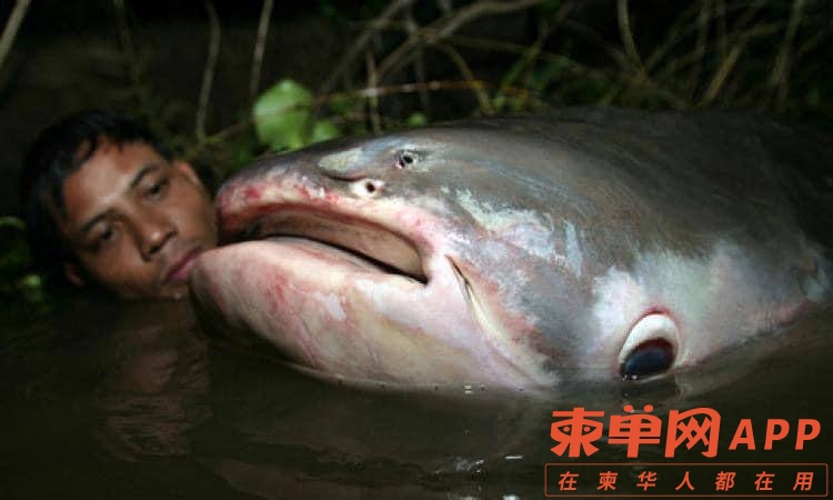 微信图片_20221212131937.jpg
