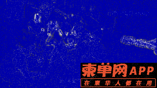 qw8.jpg