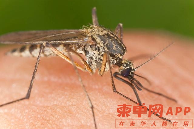 微信图片_20221223094319.jpg