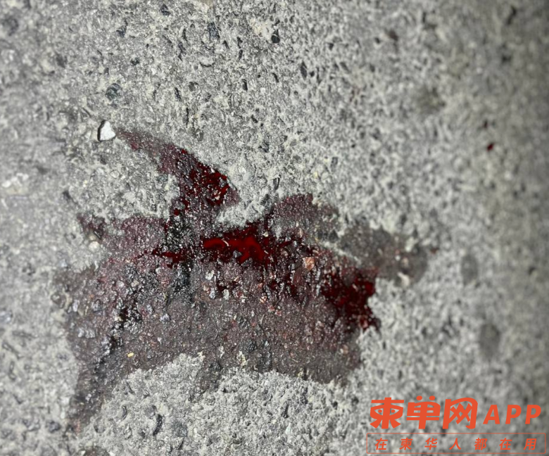 WeChat Image_20221225082840.png