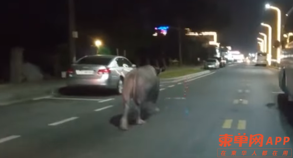 微信截图_20221226081750.png
