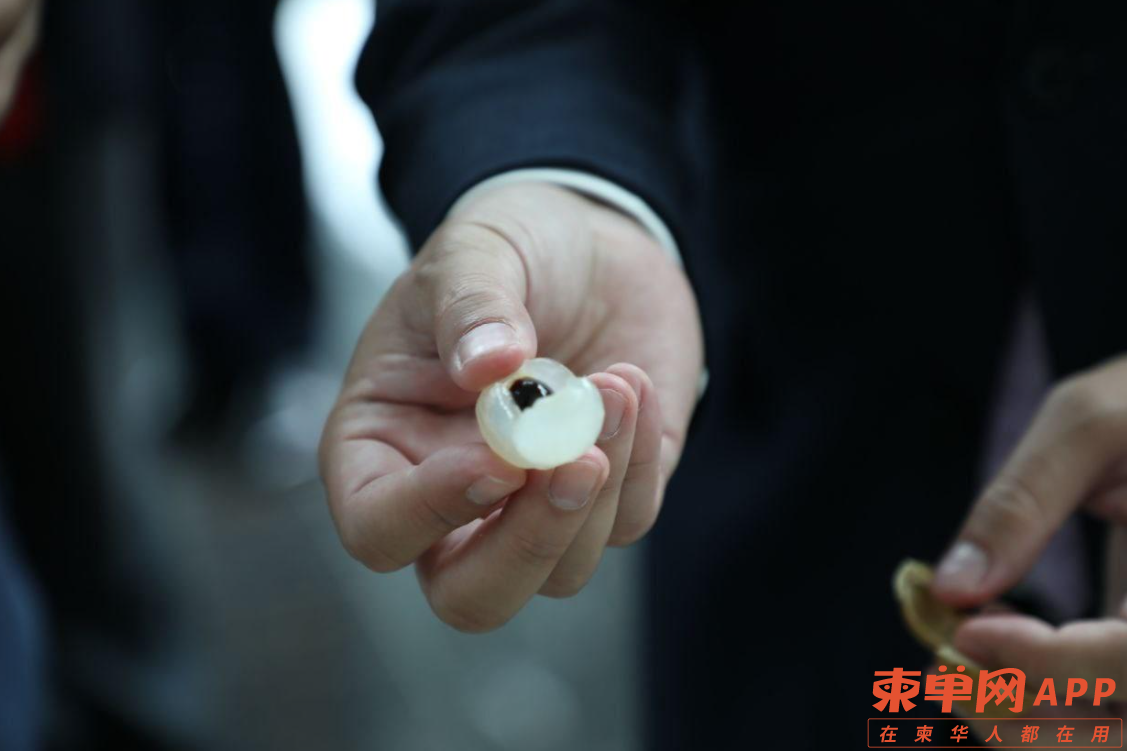 微信截图_20221228113044.png