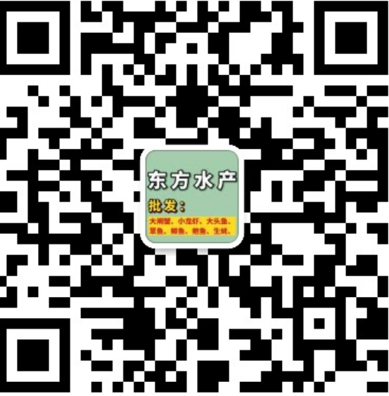 20221229134836front2_0_264614_Fnea9vG5174Gz4i61JbXhs03VcMn.png
