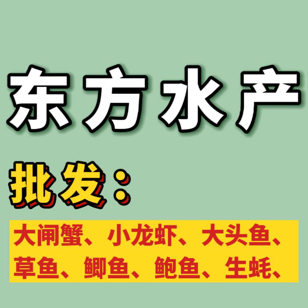 20221229134836front2_0_264614_Fk_Yw1TQzl2aLtqz56Ms1CecQZJM.jpg