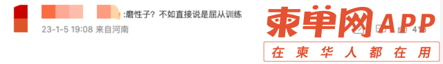 qw5.jpg