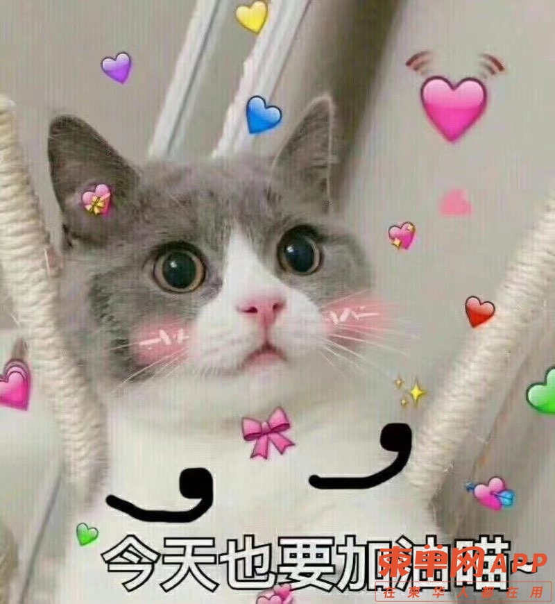 20230109151035front1_0_506334_FnIzm_2AyBSJqX0mqbmsMKCGJl3q.jpg