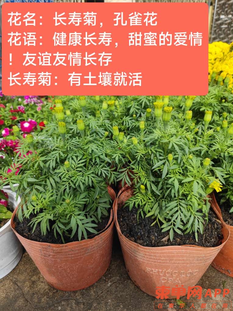 20230111132754front2_0_148482_FgU2f-ctzc8X3oZo2UqeyiAGhk01.jpg