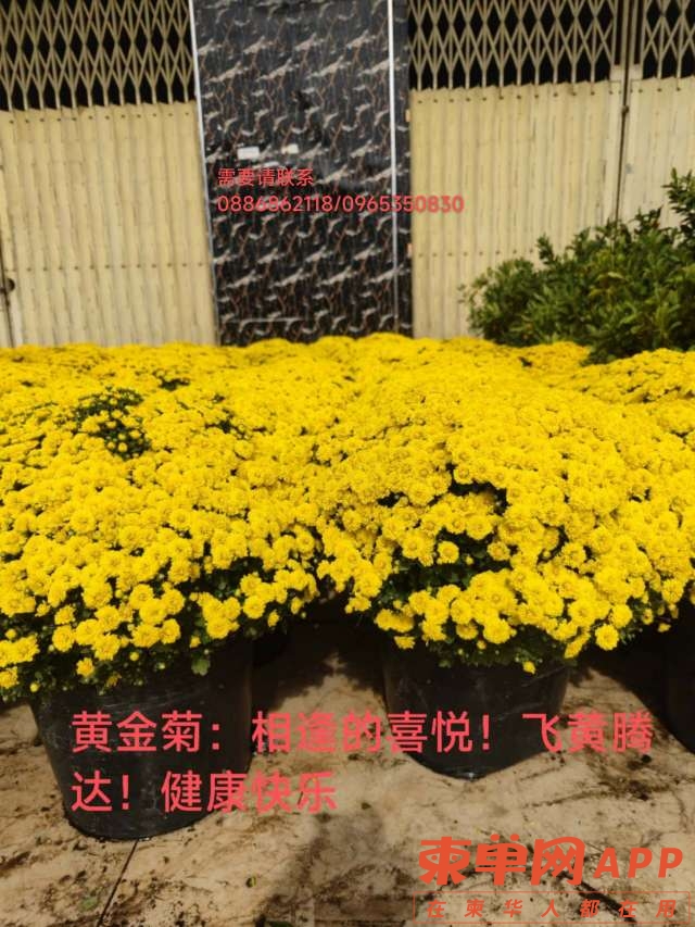 20230111133356front2_0_148482_Fjc5WFInJFcDaiFve_azmJxQ-YE8.jpg