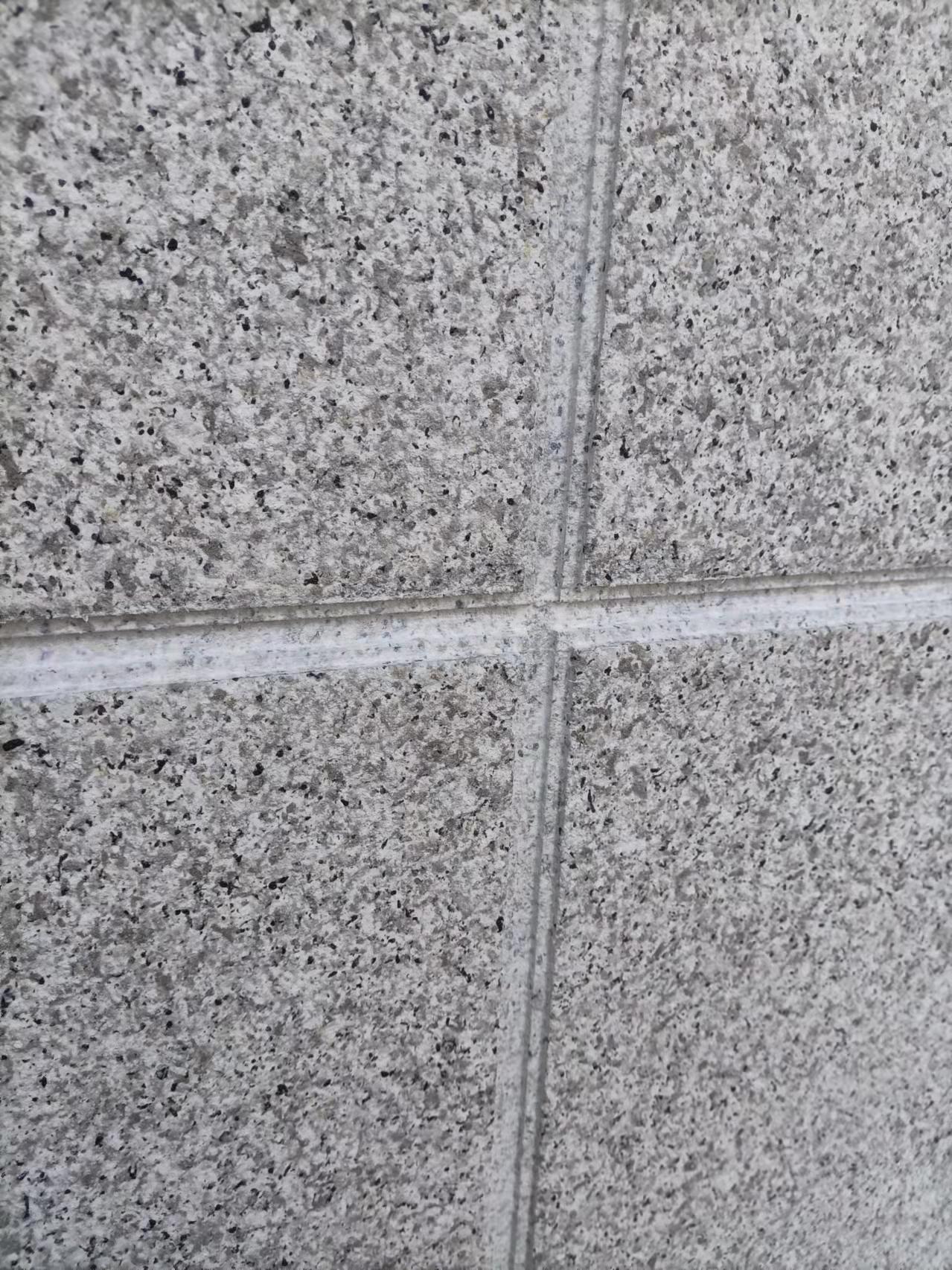 b_5573672202112221504116716.jpg
