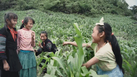 微信图片_20230205212658.gif
