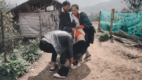 微信图片_20230205212729.gif