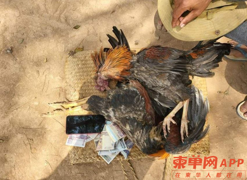微信图片_20230212094045.png