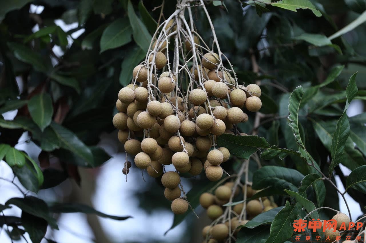图片_20230218085124.jpg