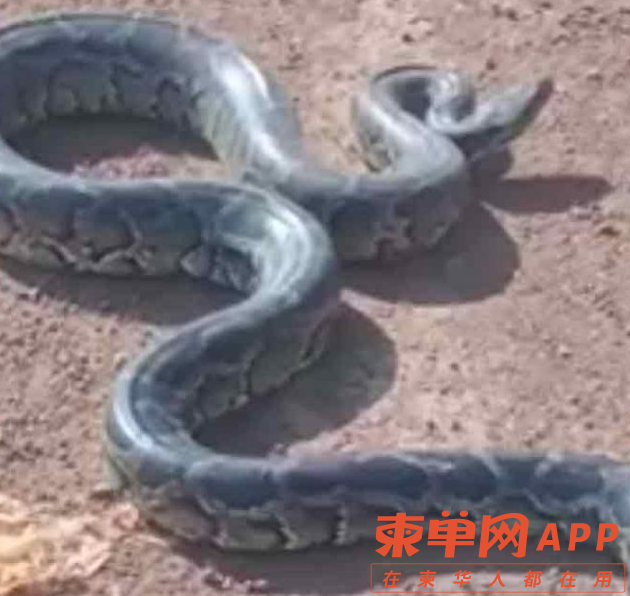 微信图片_20230219100204.png