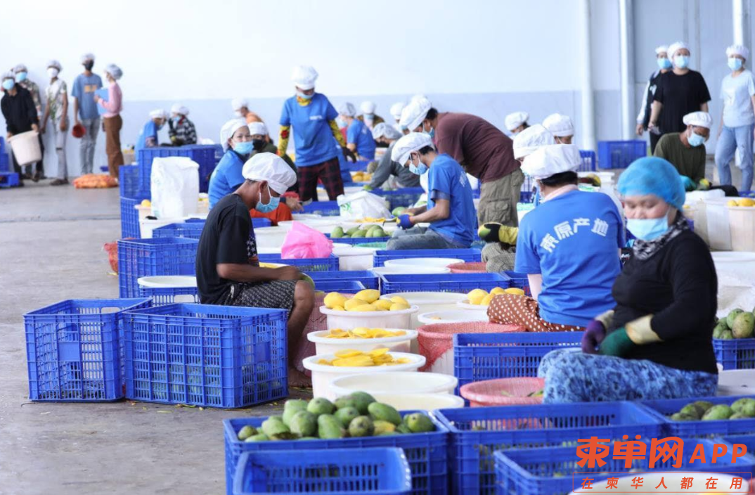 图片_20230222081334.png