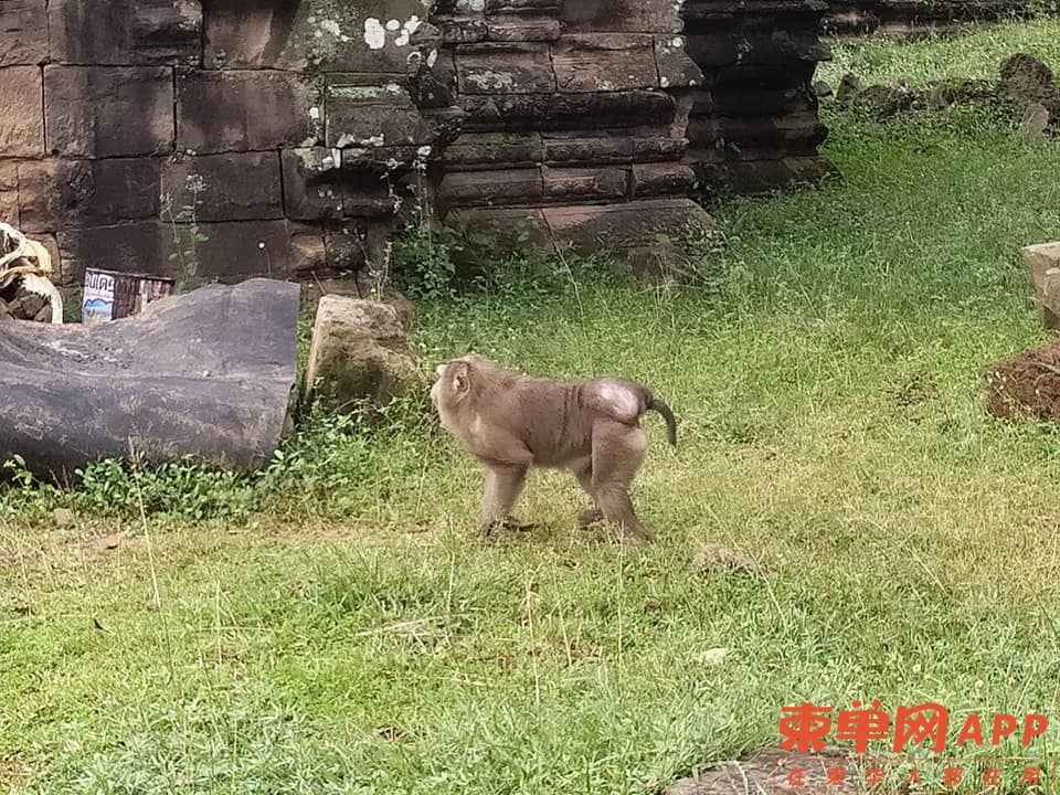 332732608_1260956574498464_3669830591387349356_n.jpeg