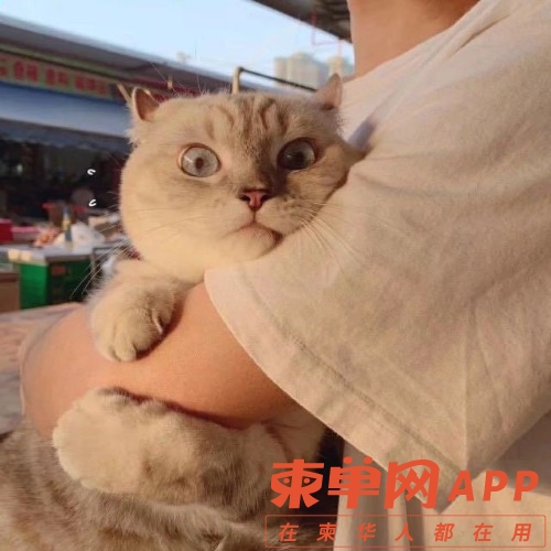 1F9AFA11-B0BA-4A5D-9C88-3E647E3CF231.jpeg