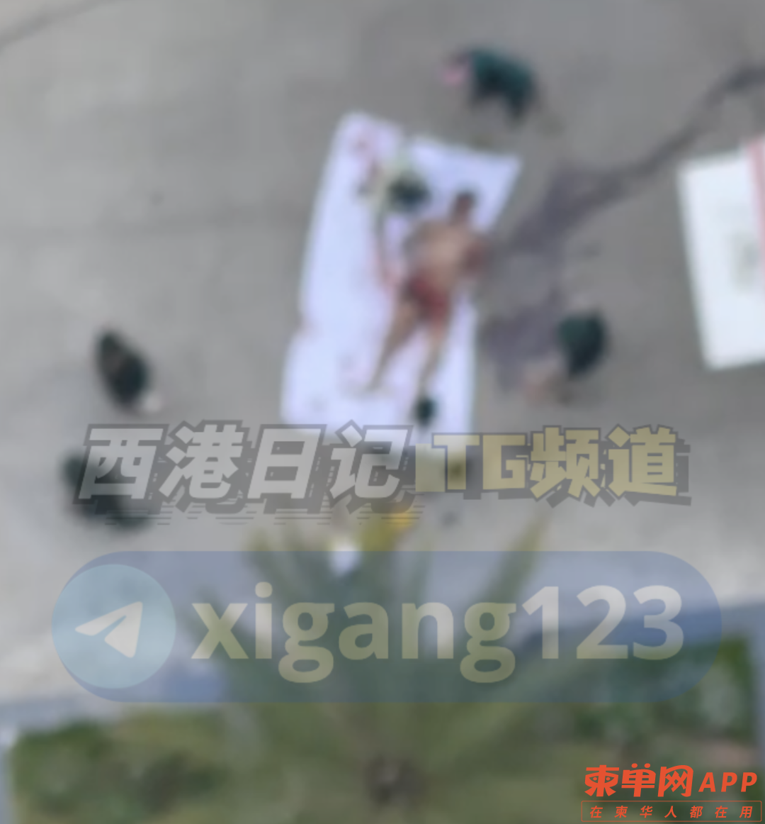 微信图片_20230319230957.png