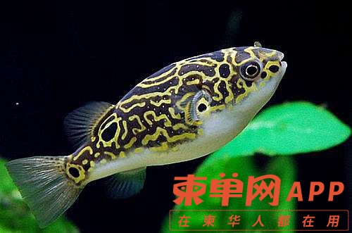 20230320111338front1_0_287818_FveOmXLmPwIn6aVFmRg-7j2JvZxZ.jpg