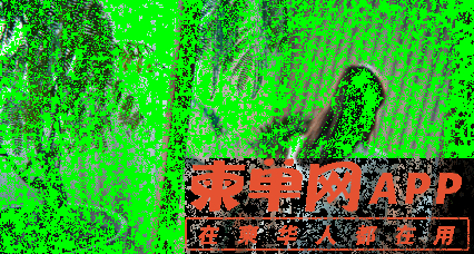 qw13.jpg