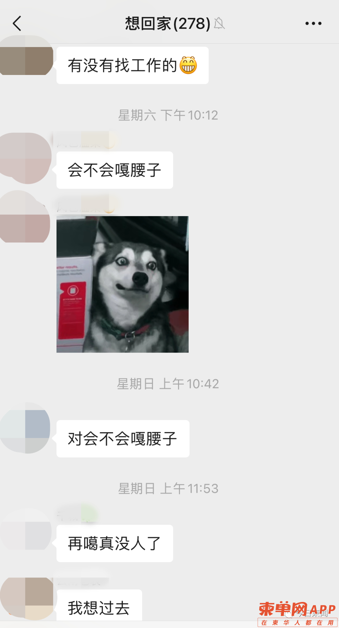 qw6.jpg