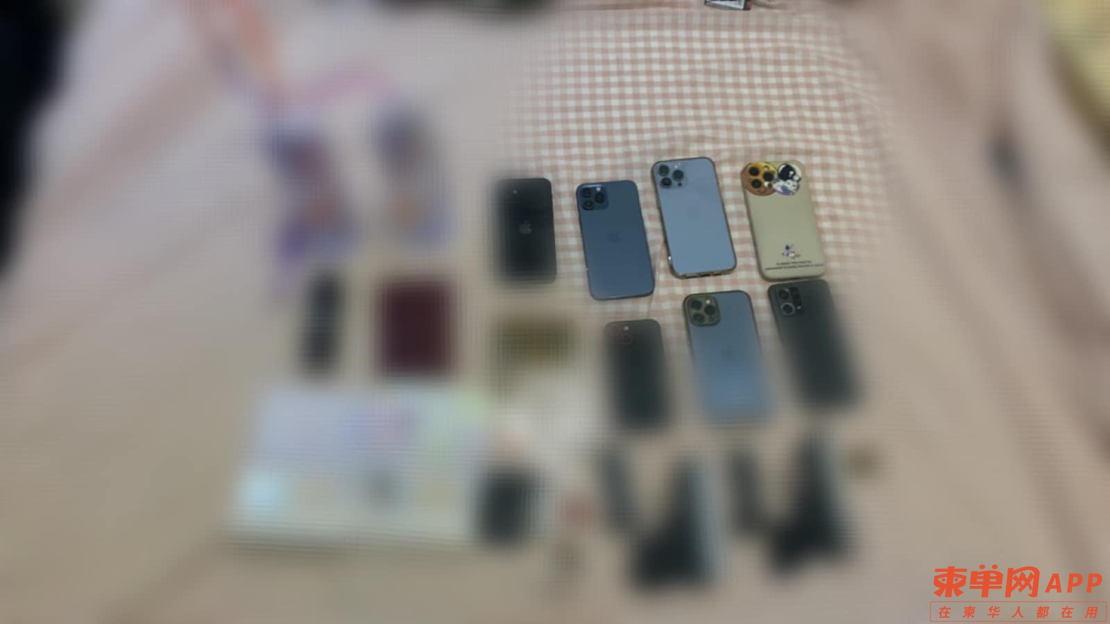 342554348_200193129466506_1631733061026894323_n.jpeg