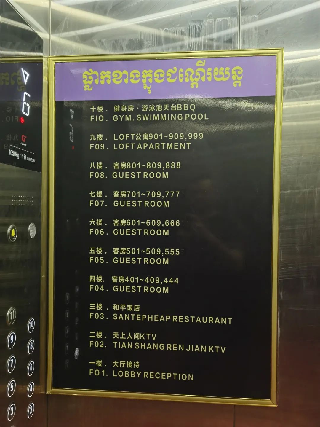 qw8.jpg
