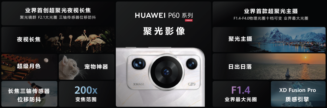 qw6.jpg