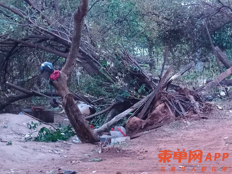 微信图片_20230514144959.png