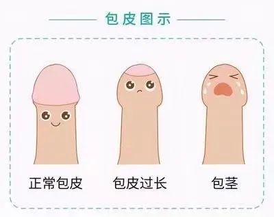 微信图片_20230516112643.jpg
