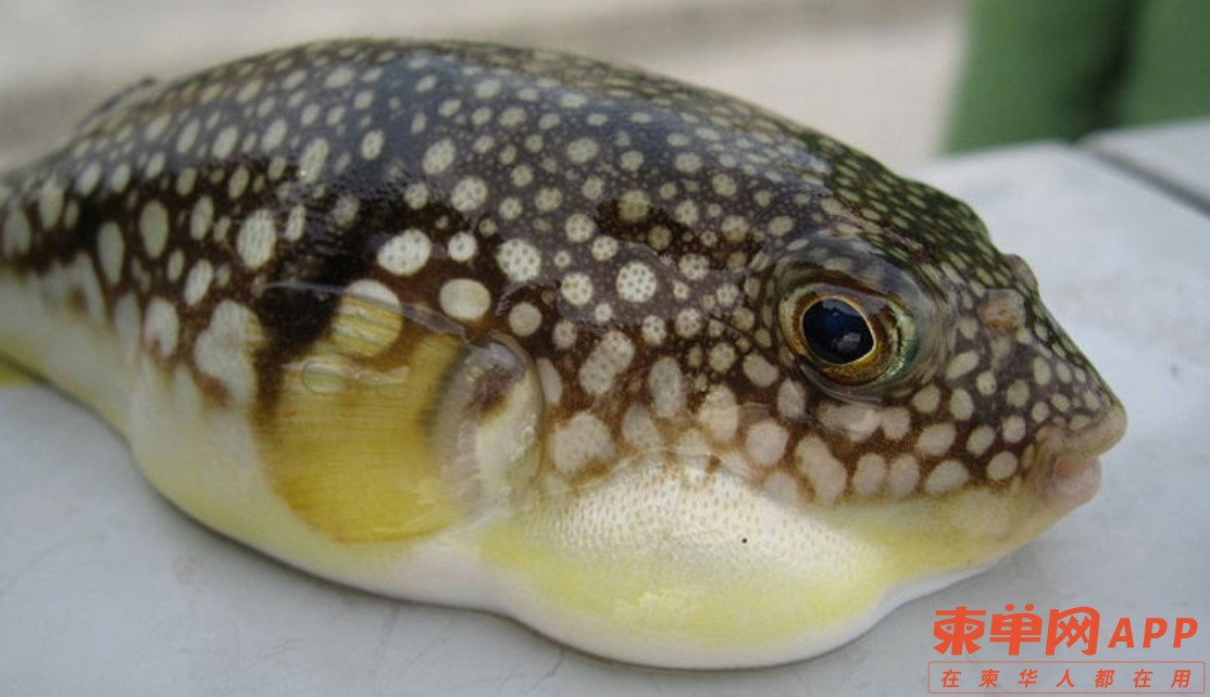 Image_20230605110953.png