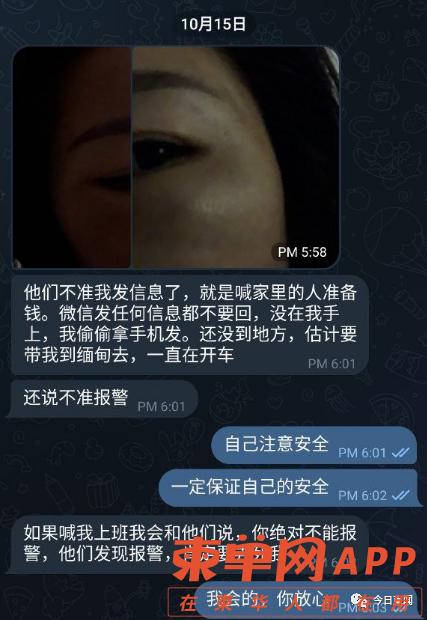 qw9.jpg
