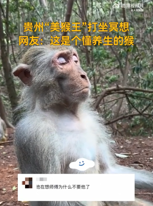 12d83eca9715ac51ed5faa1cbde61d03.png